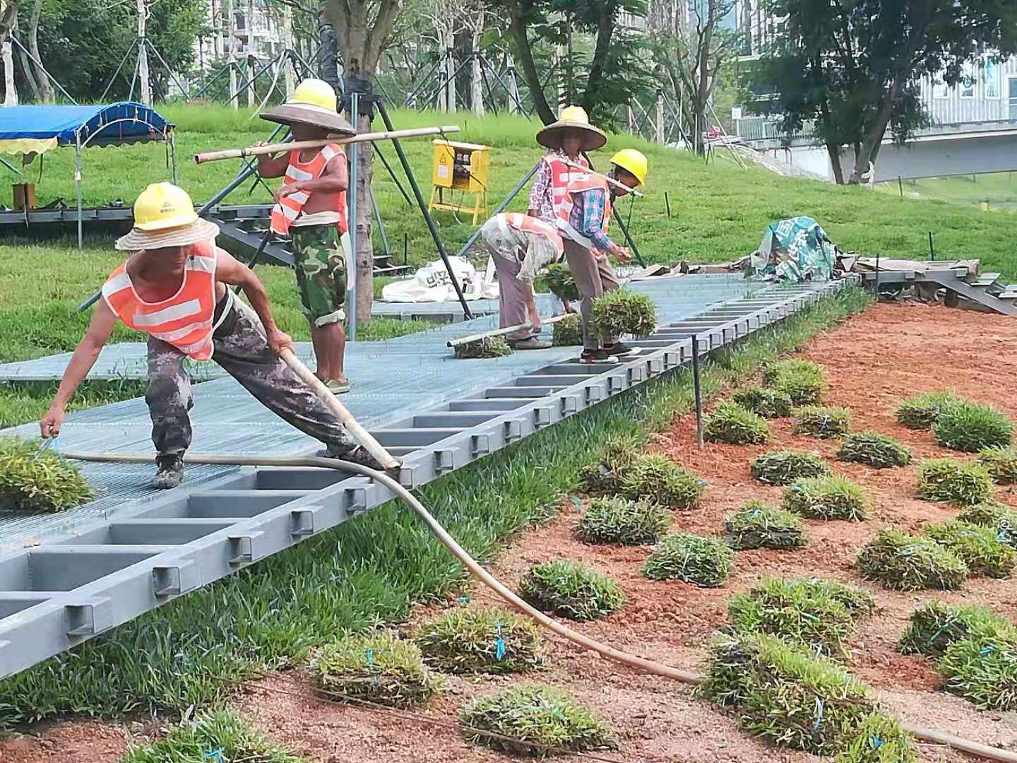 绿植租摆室内绿化租摆